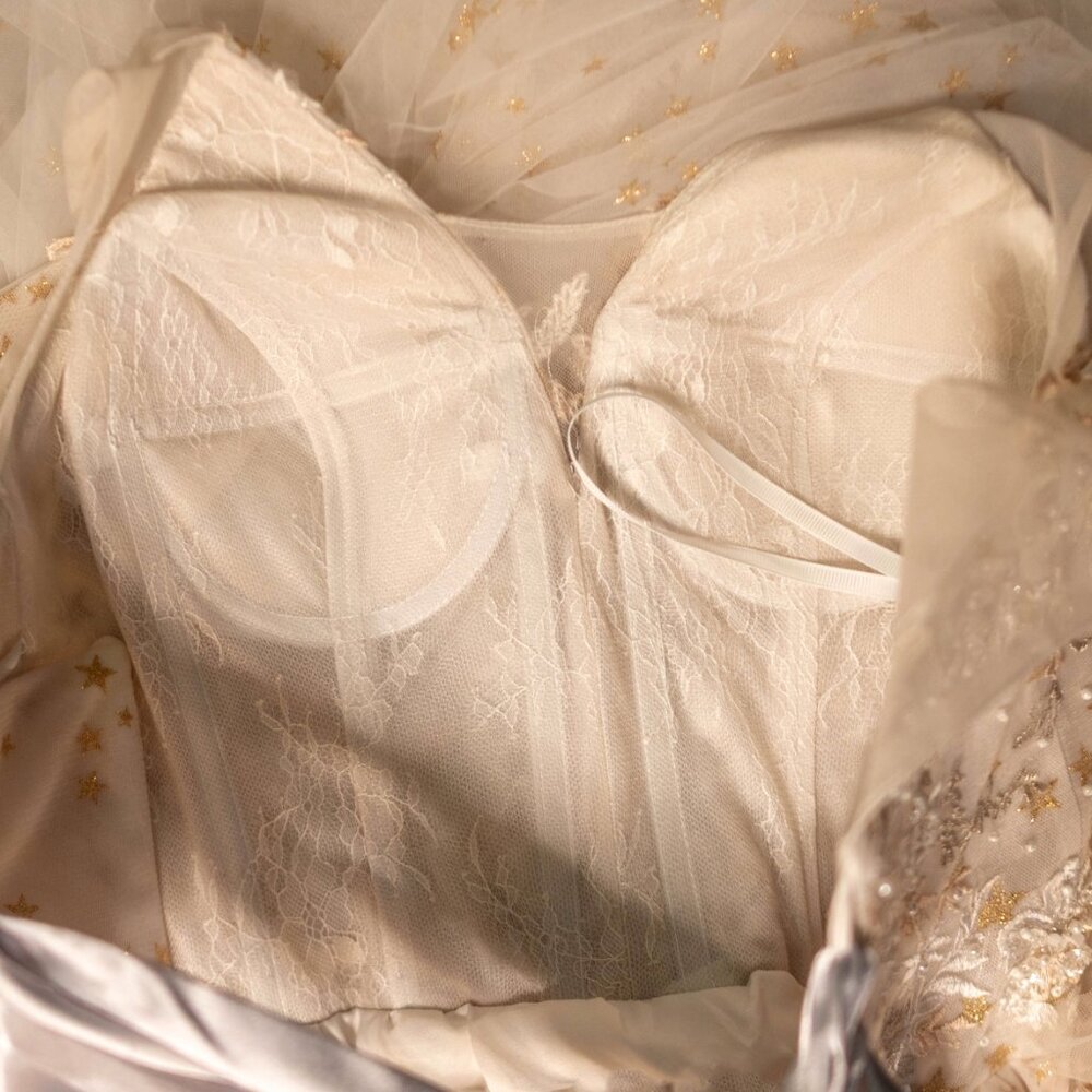 SALE Champagne Off-White Embroidered Wedding Ball Gown Dress Corset Back - XS/S - Picture 16 of 16